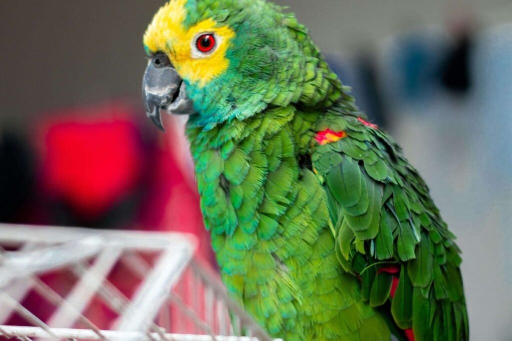 Pets Inteligentes: Descubra Curiosidades Surpreendentes Sobre os Pets Que Você Nunca Imaginou! 6 5
