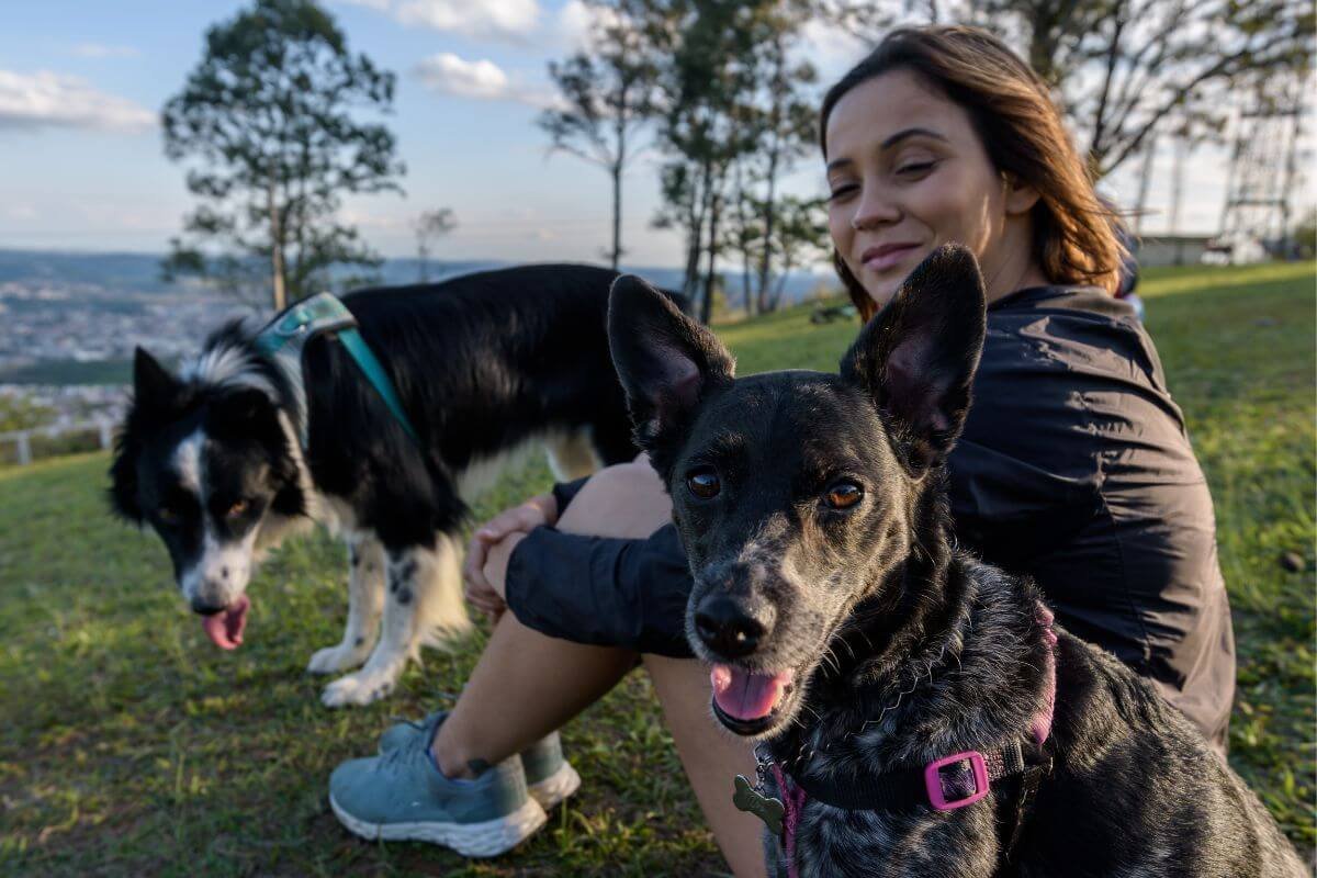 BEM-ESTAR DOS PETS: UM GUIA COMPLETO PARA GARANTIR A SAÚDE E FELICIDADE DO SEU COMPANHEIRO 3 Moca com dois caes
