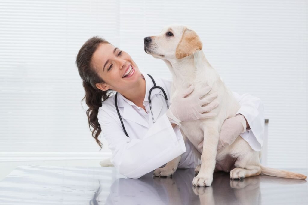 O Alimento "Proibido" Que Está Revolucionando a Saúde dos Pets: Um Guia Completo 3 VETERINARIO