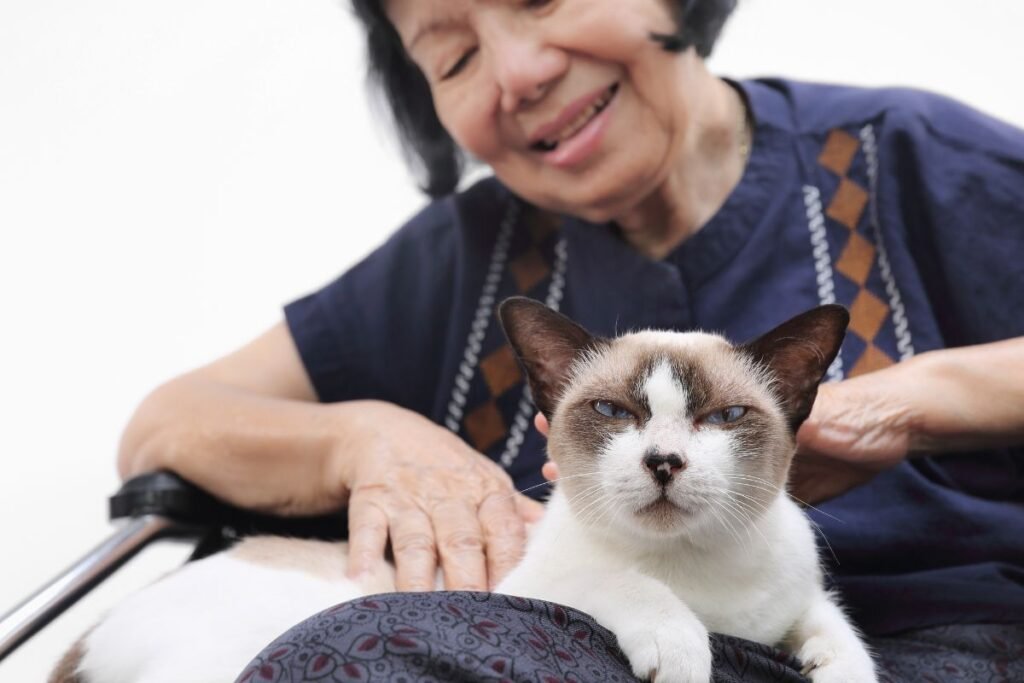 🐱 Ração para Gatos Maduros: Guia Completo para Escolher a Melhor Opção 8 beneficios dos animais de estimacao para idosos senhora com gato
