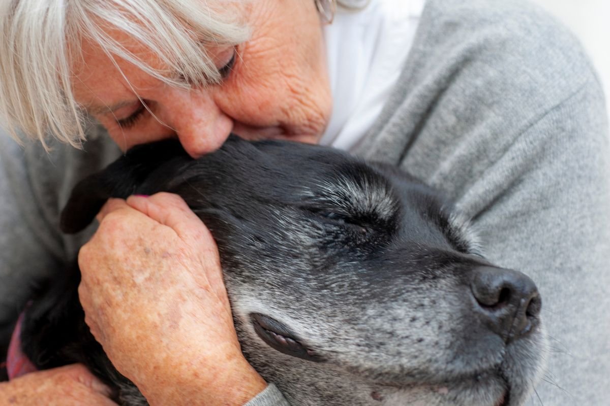 beneficios dos animais de estimacao para idosos
